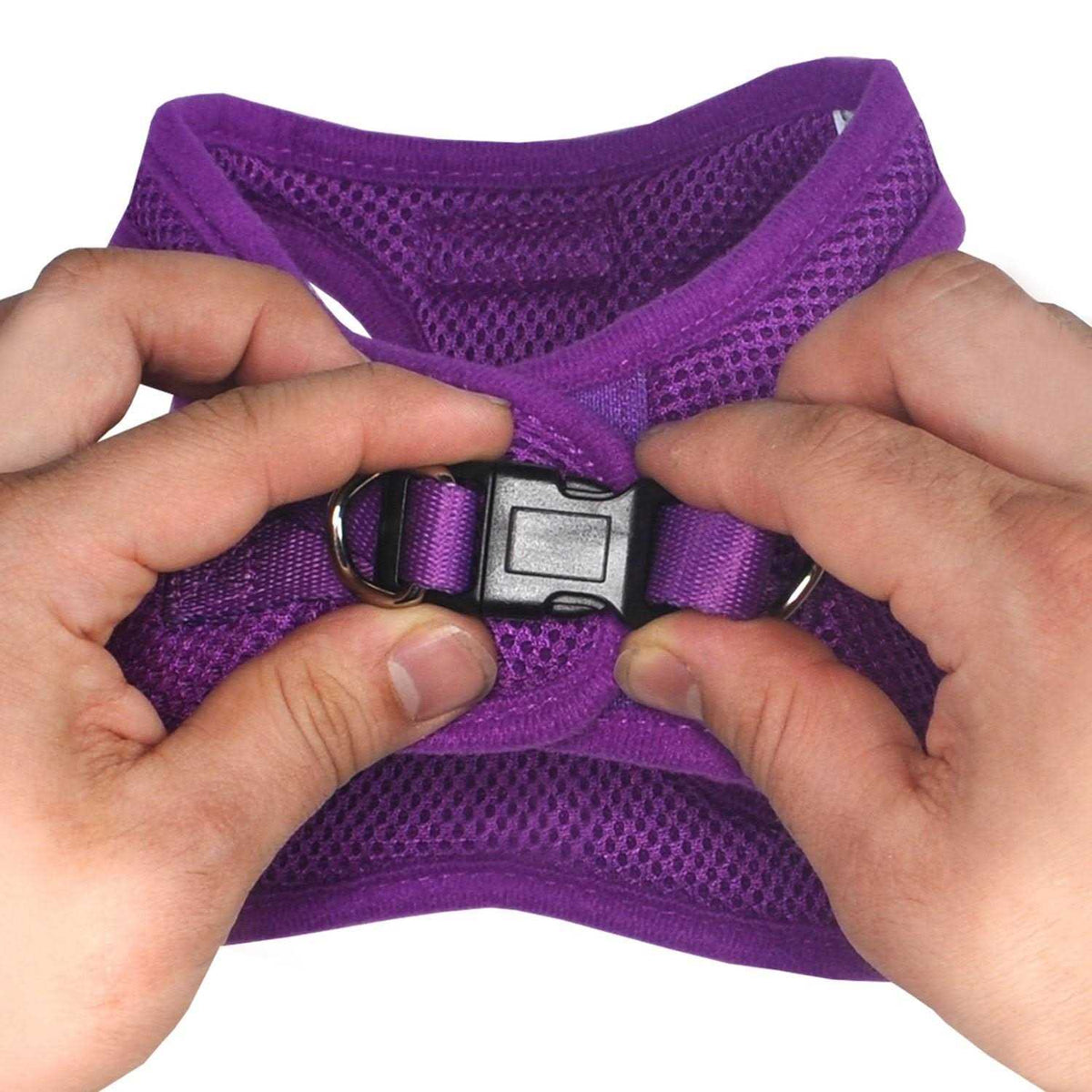 Step in Dog Harness J55693