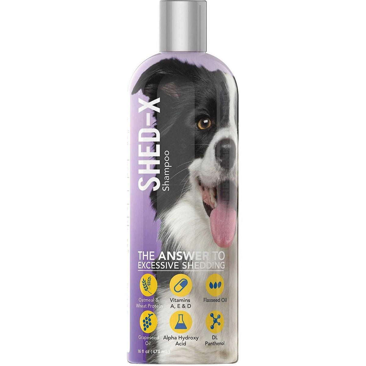 Shed Control Shampoo for Dogs K71468