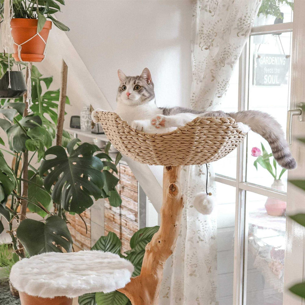 Cat Tree N26394
