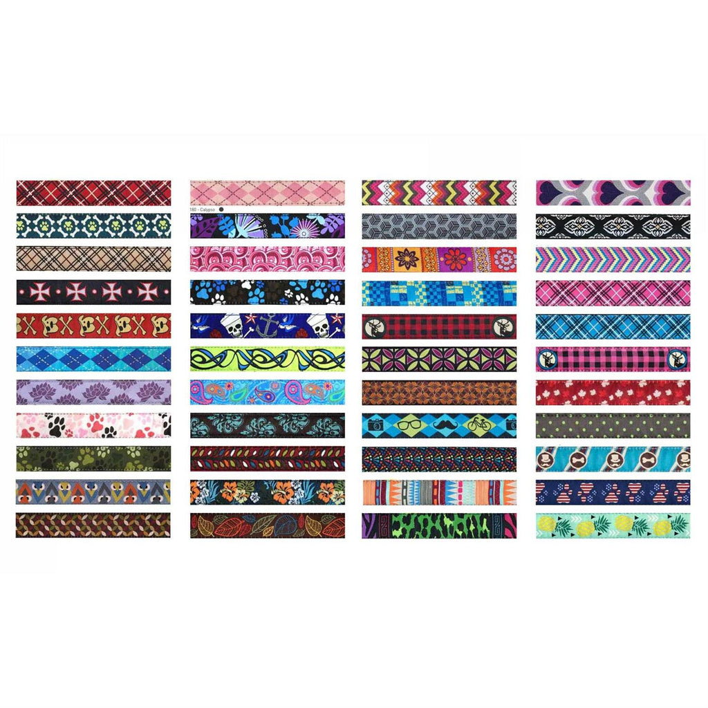 Clip Dog Collar R16655