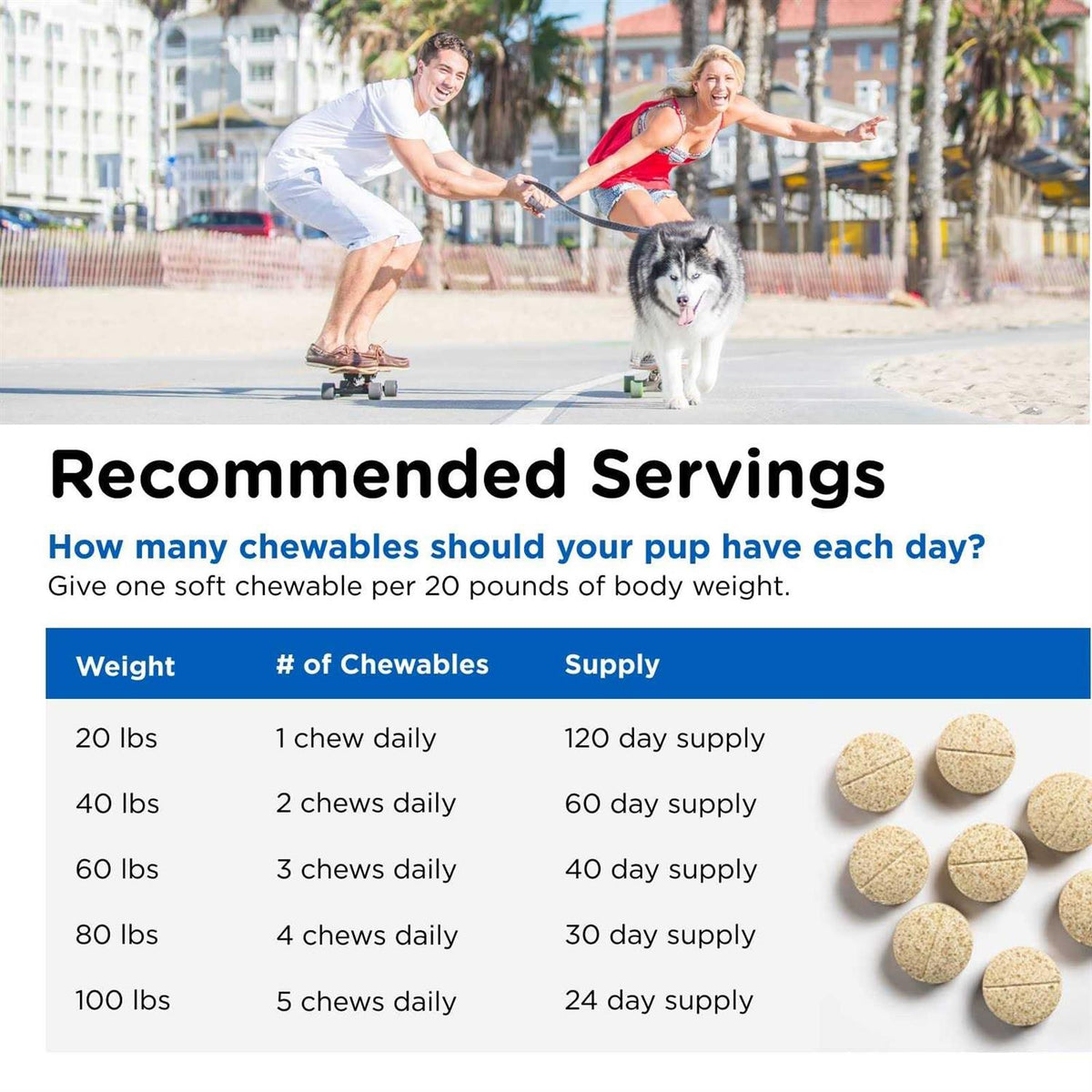 Dog Multivitamin Q4653