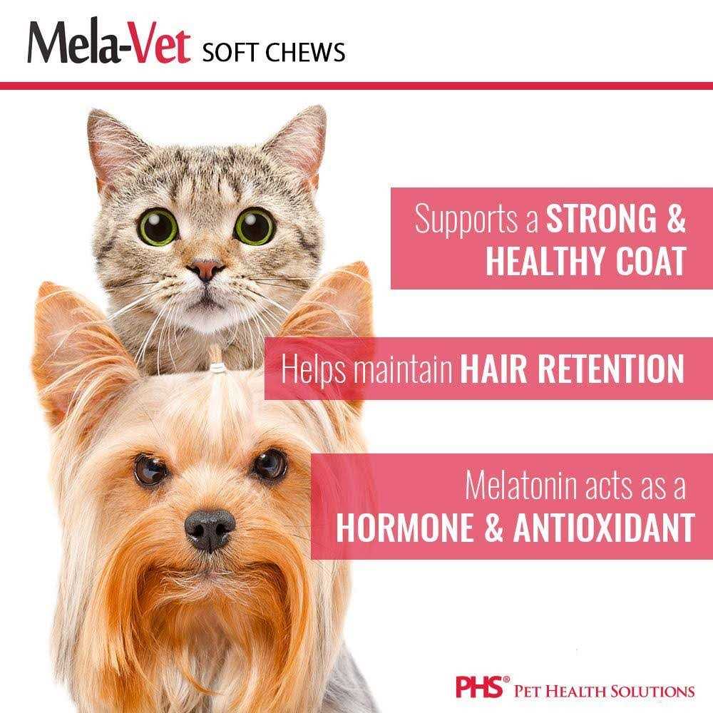 Melatonin Soft Chews for Dogs & Cats I903
