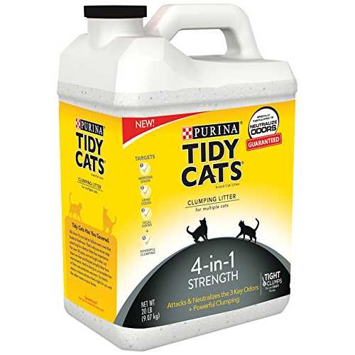 Scented Clumping Clay Cat Litter 20-lb Case of 2 L859