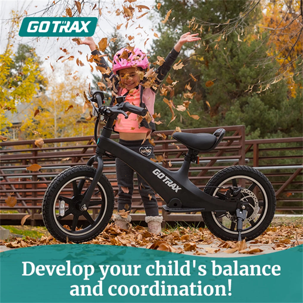 250W Electric Bike for Kids T9299