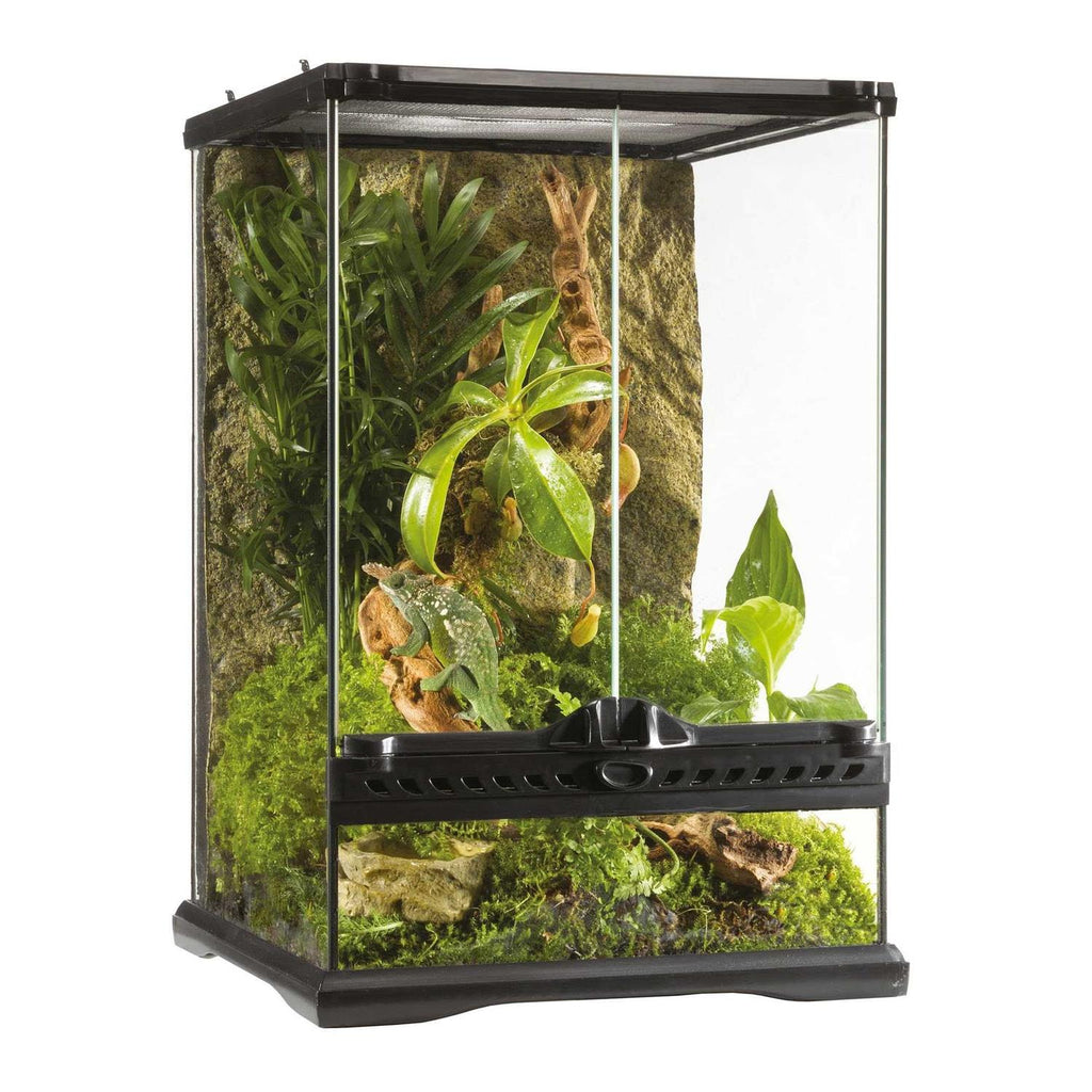Glass Terrarium J580600