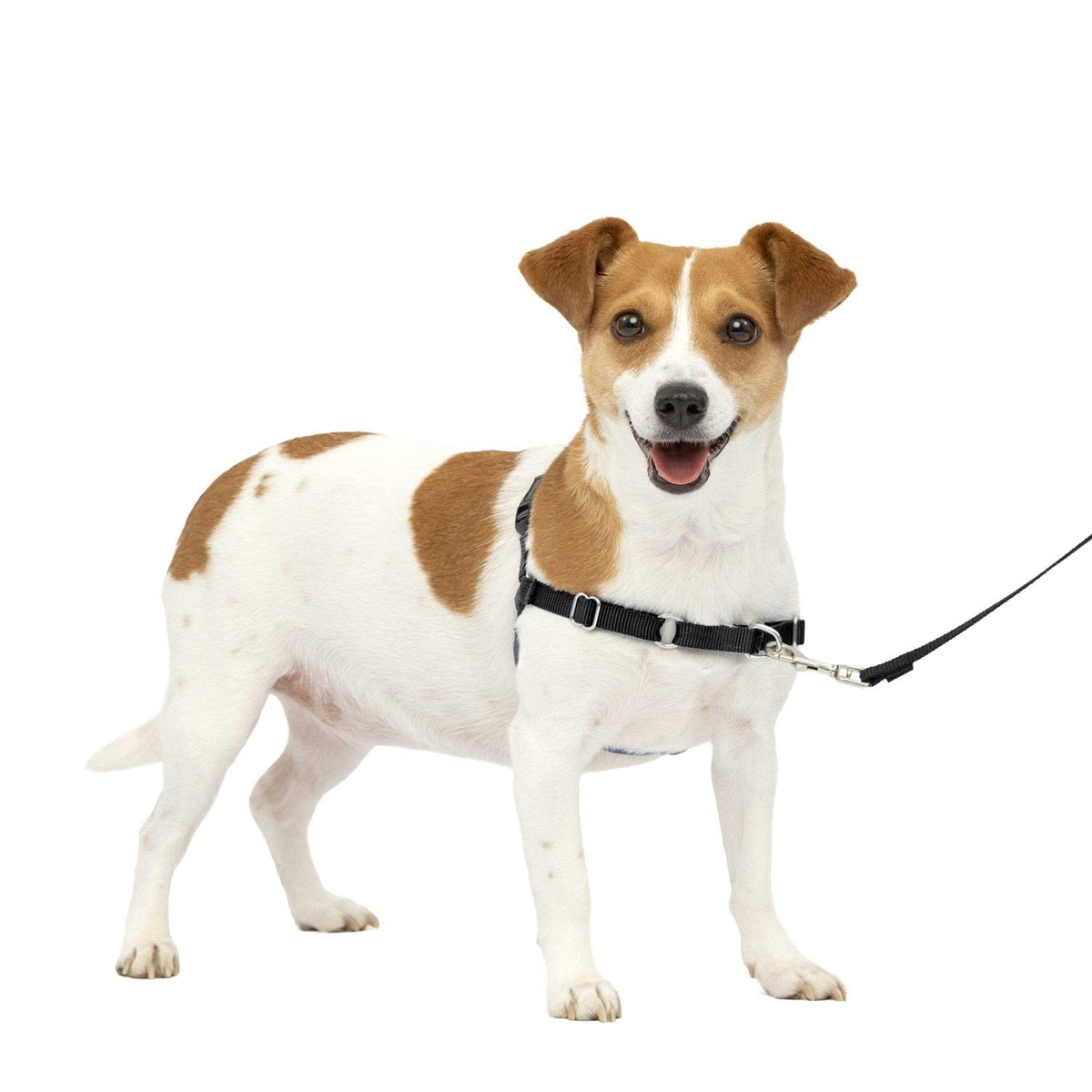 Dog Harness G671455