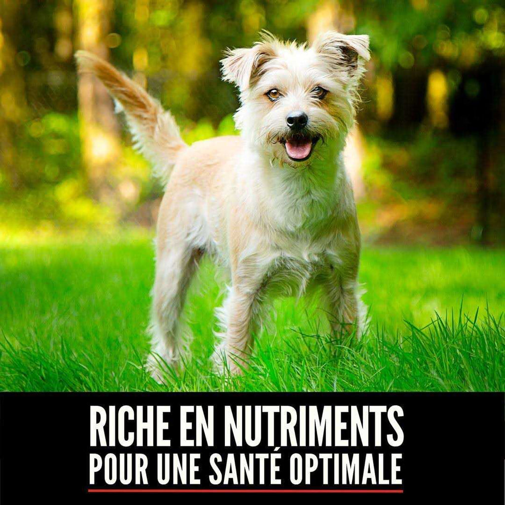 Small Breed Dry Dog Food S82386