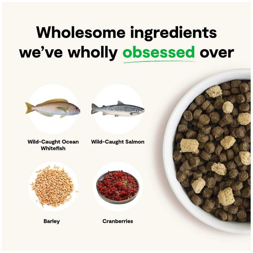 Wild Ocean Ancient Grains Dog Food V586496