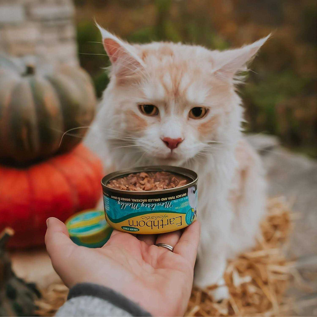 Monterey Medley Cat Food L34566