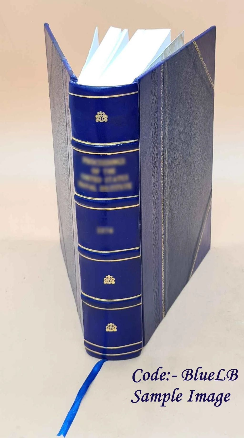 Leather Bound Book U799
