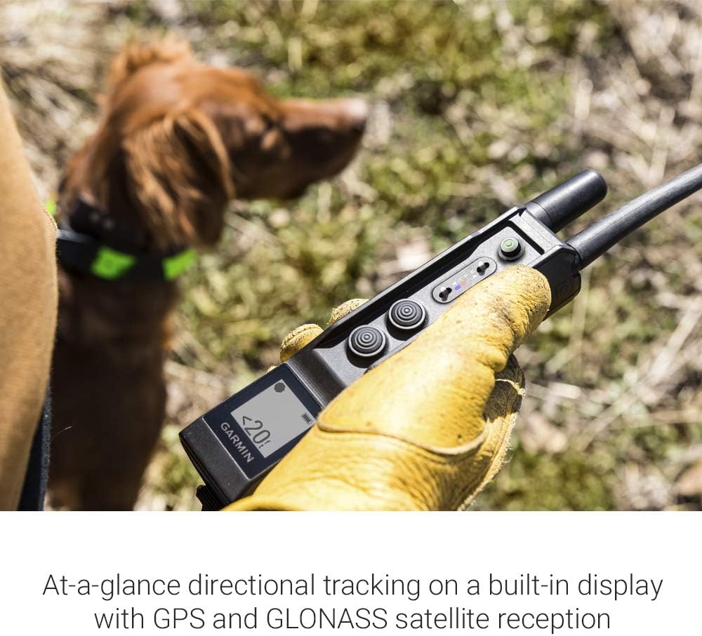 Dog Training System with GPS Tracking, Collar and Handheld N96268