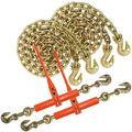 3/8 inch x 10 Foot Chain and Load Binder Kit R212629