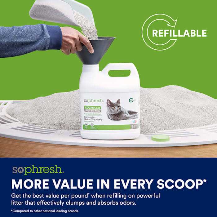 Advanced Odor Control Scoopable Cat Litter E519145