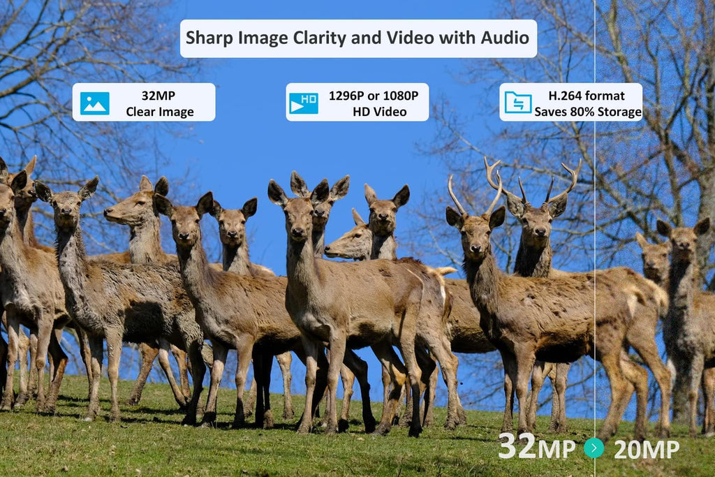 32mp 1296p Trail Camera with 100ft Night Vision Motion Activated Waterproof Y142