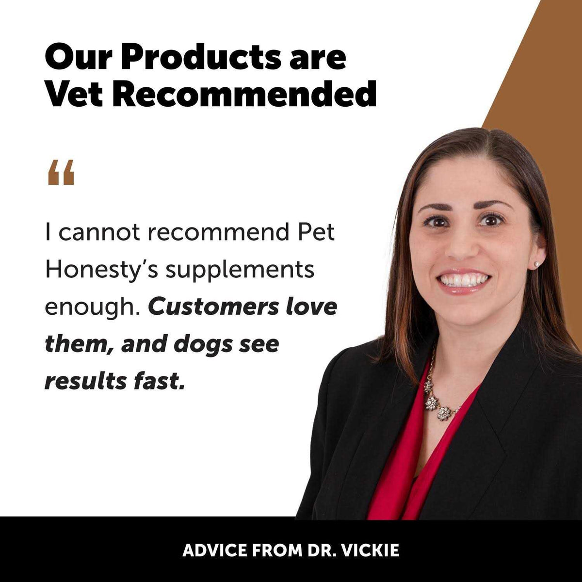 Flea & Tick Support Supplement Soft Chews for Dogs I440