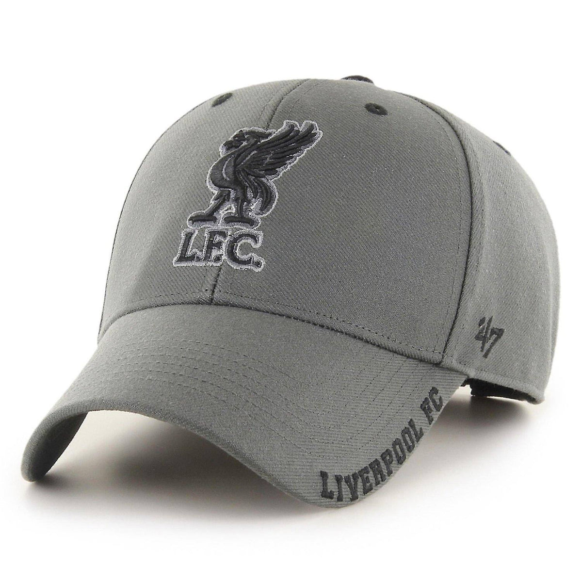 Charcoal Adjustable Cap E6900