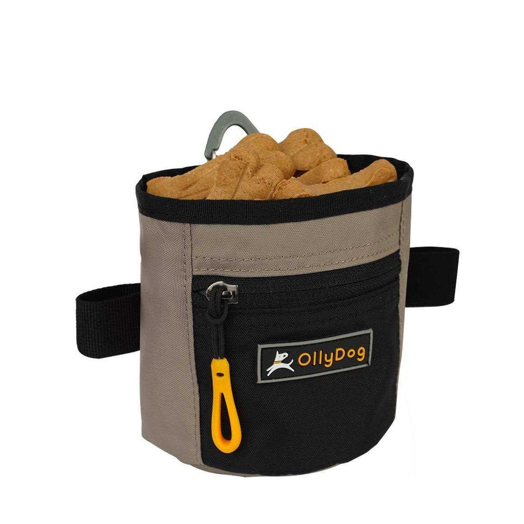 Treat Bag D247