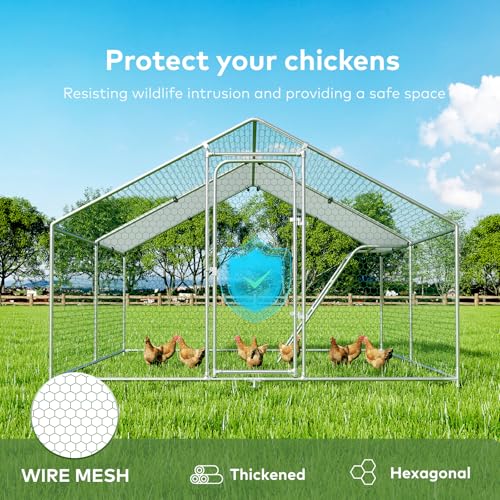Large Metal Walk-in Chicken Coop with Cover S716547
