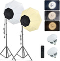 Softbox Lighting Kit 20''x28'' Photography Continuous Lighting System with 2x85W Dimmable LED Bulb Z942