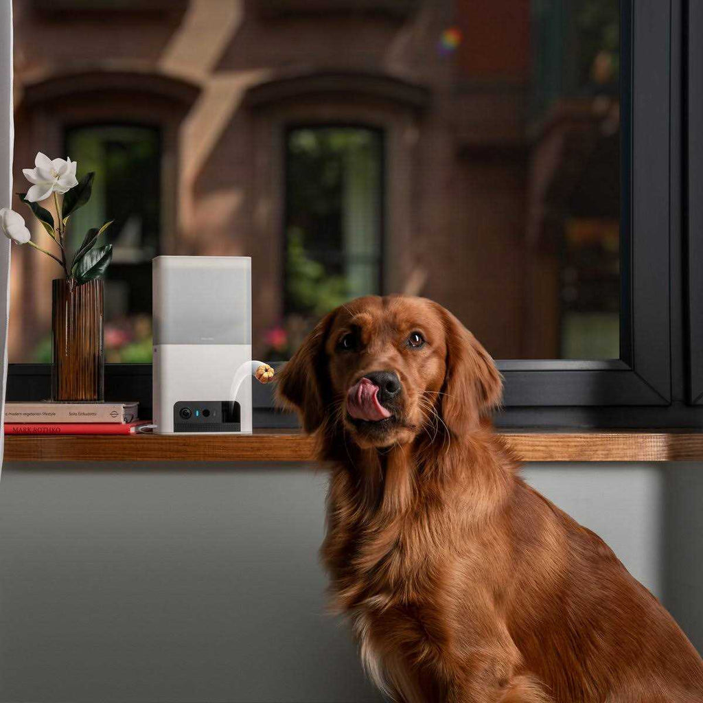 WiFi Pet Monitoring Camera with Treat Dispenser W373978