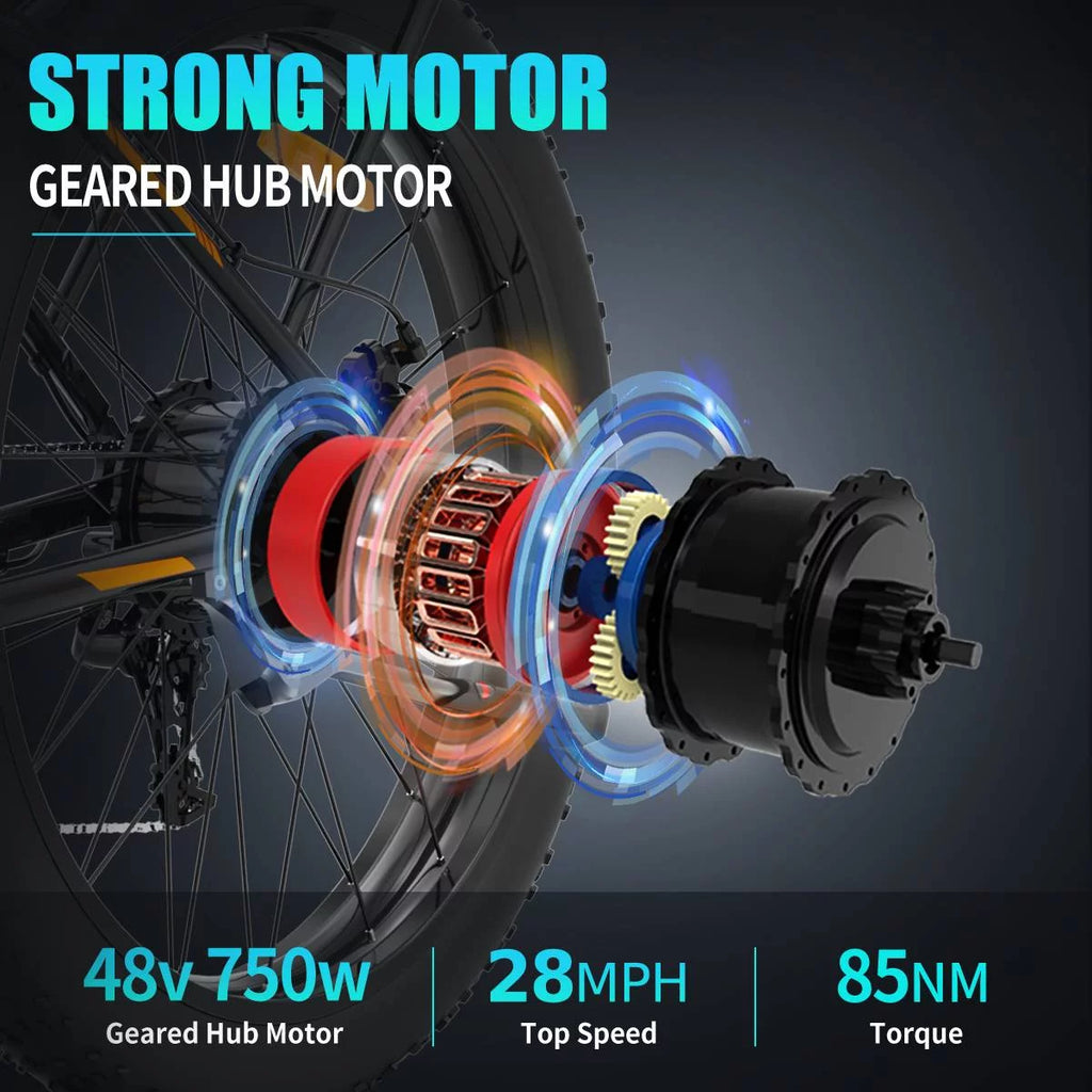 750W 48V 13AH Fat Tire Electric Mountain Bike R547