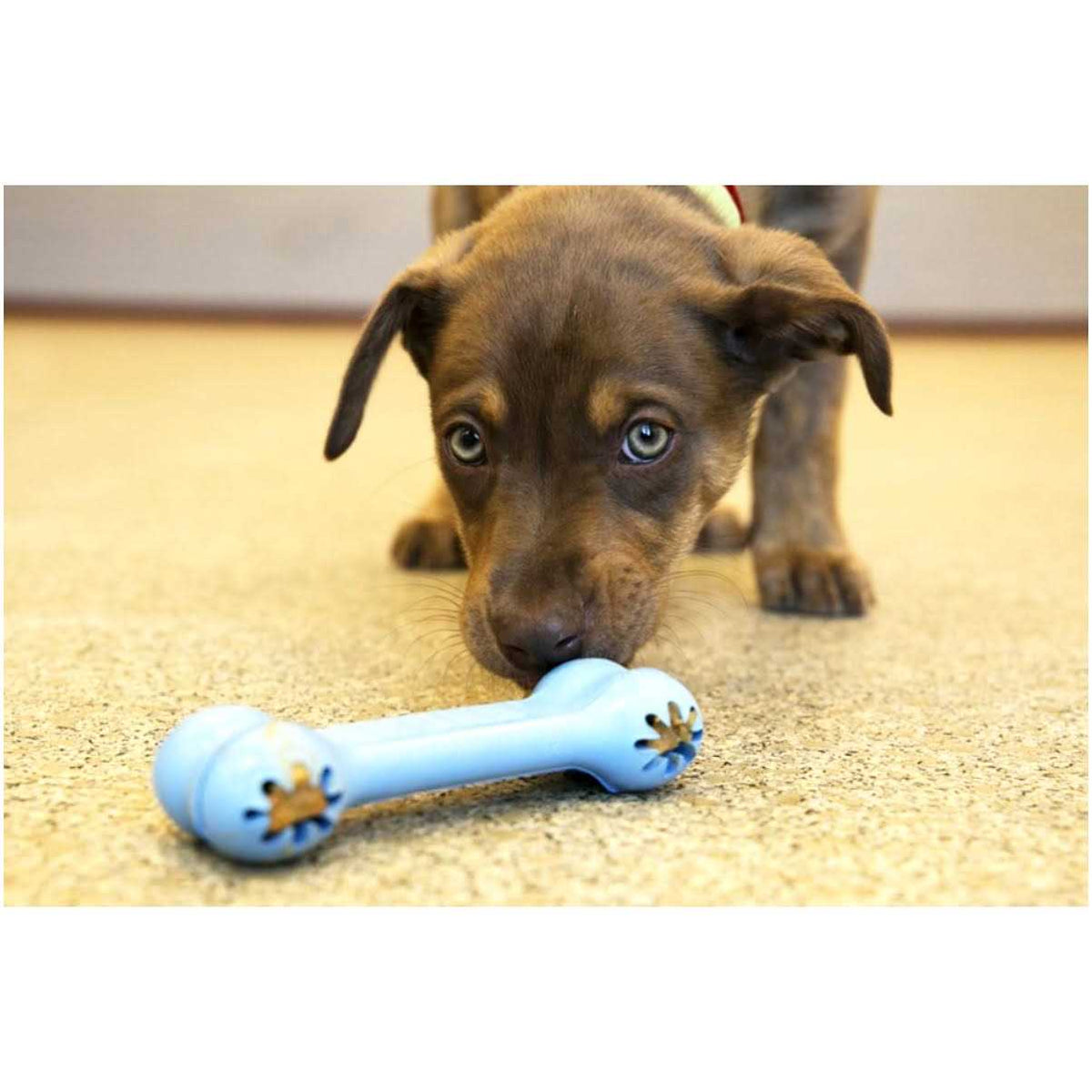 Puppy Toy K80221