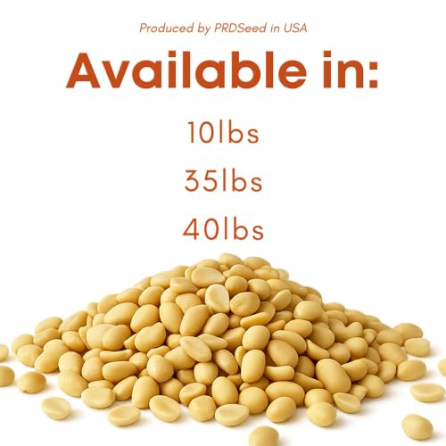 Raw Peanuts for Birds & Squirrels 10lbs W882175