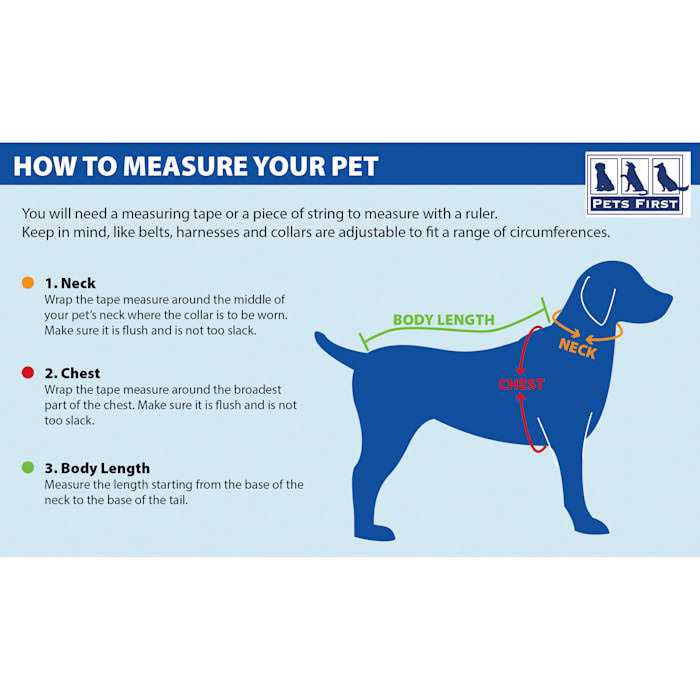 Pet Collar U2896