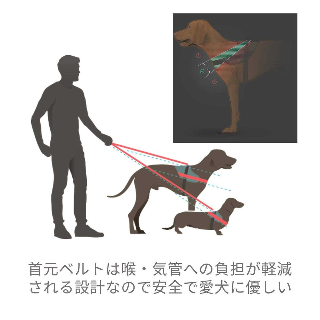 Powerharness N1386