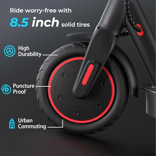 Electric Scooter with Cruise Control and Dual Braking System L842
