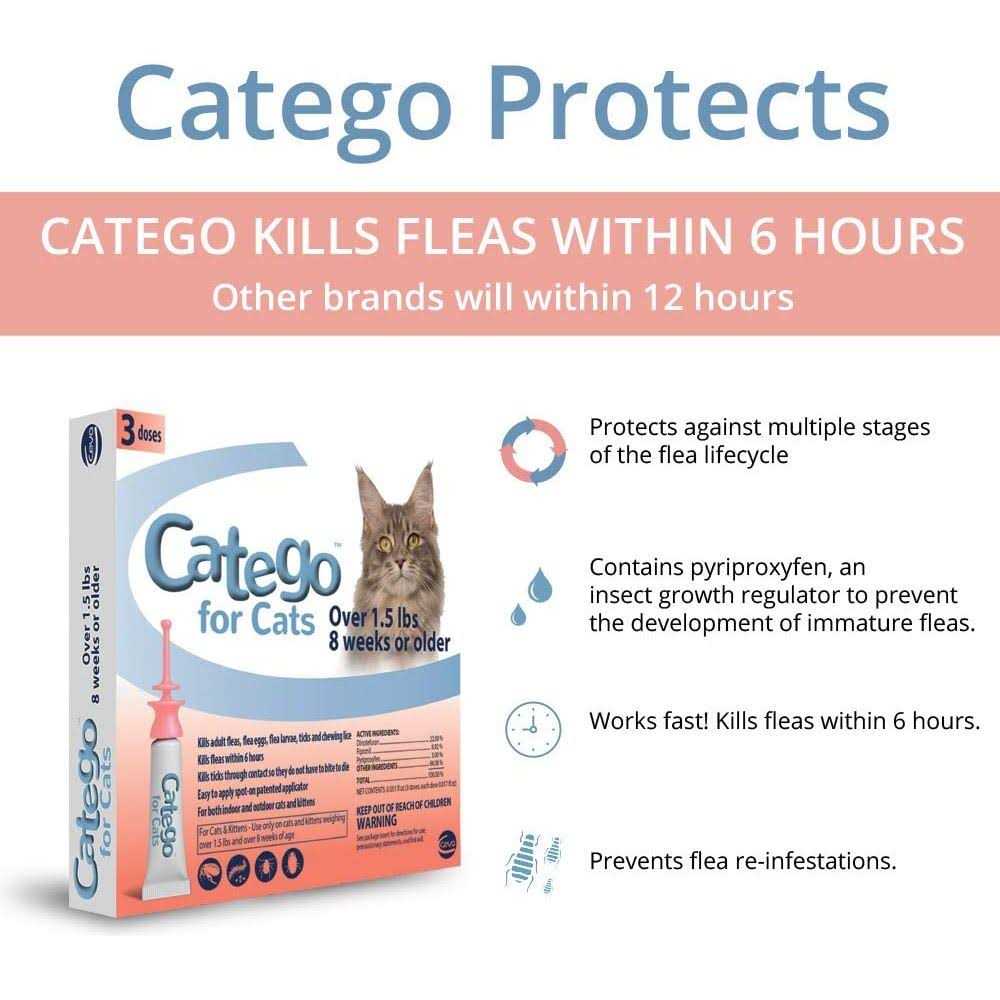 Flea & Tick Treatment for Cats U849
