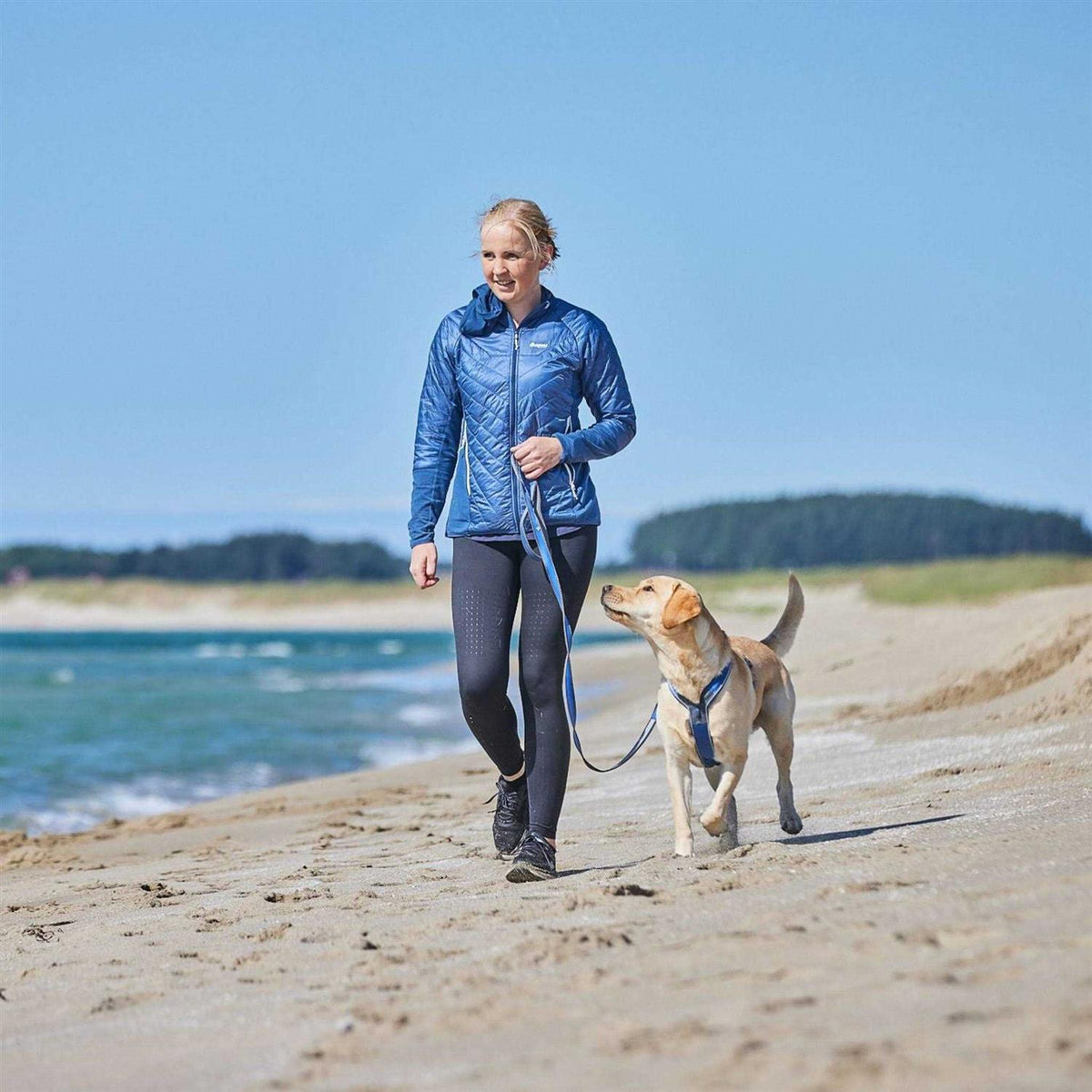 Dog Harness R475