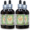Polygonum Dried Vine Alcohol-Free Liquid Extract 4x120 ml H59360