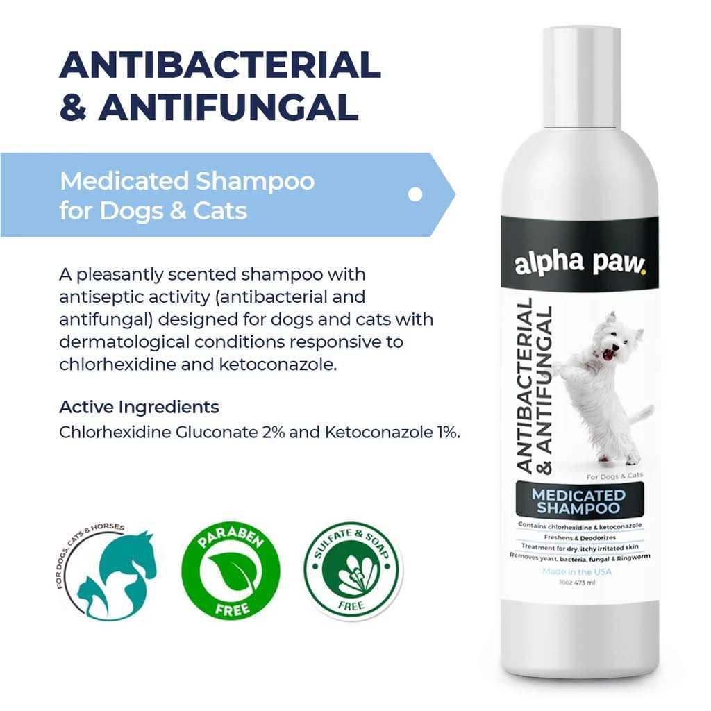 Antibacterial & Antifungal Medicated Shampoo Z59068