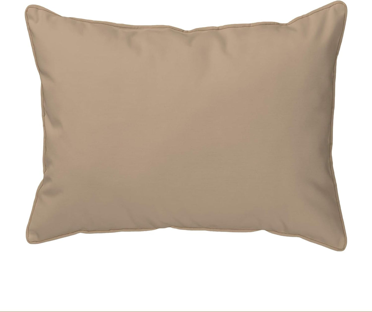 Teal Indoor/Outdoor Pillow D150
