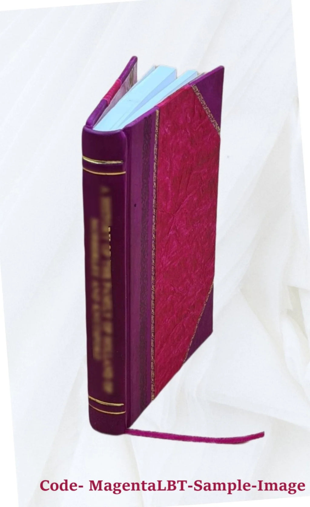Moravian Chronicle 1749-1767 Leather Bound S221161