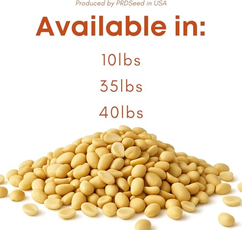 Raw Peanuts for Birds & Squirrels 10lbs W882175