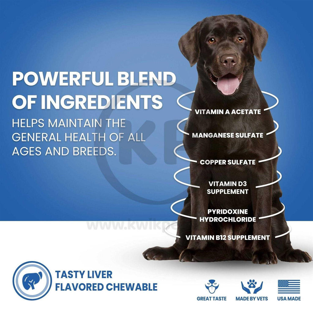 Dog Multivitamin Q4653