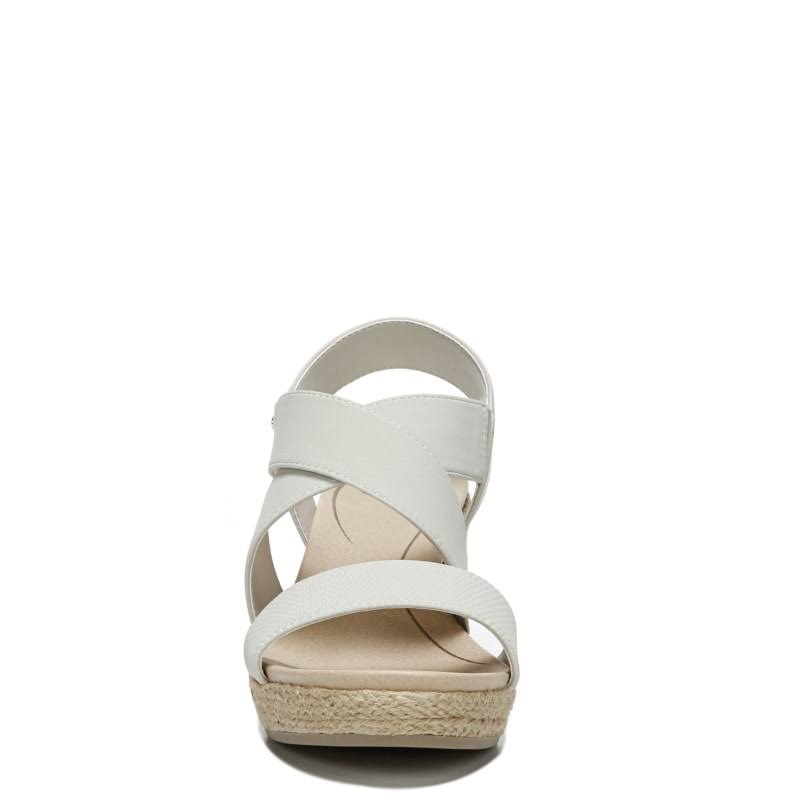 Oyster Wedge S2401