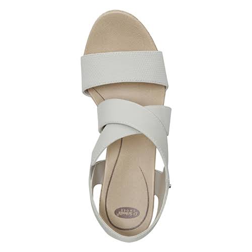 Oyster Wedge S2401