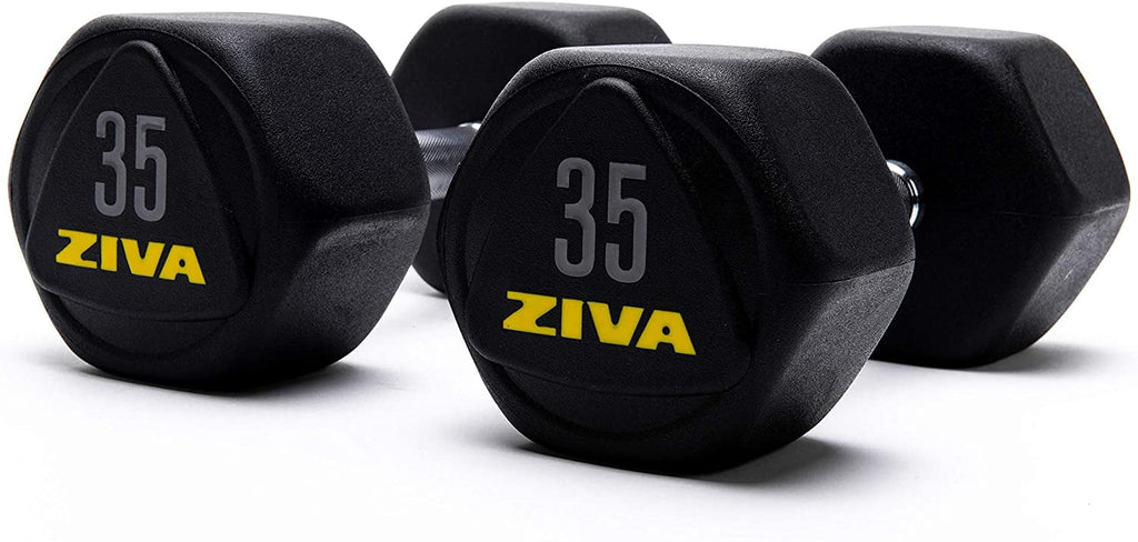 20 Lbs Urethane Rubber Hex Dumbbells A994