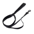 Anti-Shock Dog Leash M2588