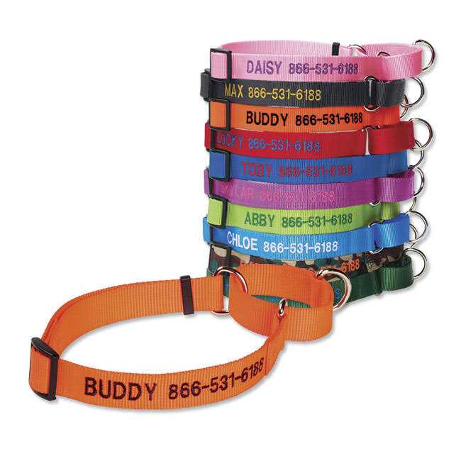 Dog'S Martingale Collar C907694