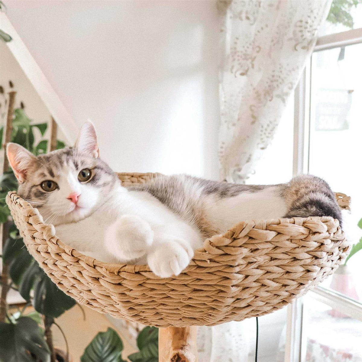 Cat Tree N26394