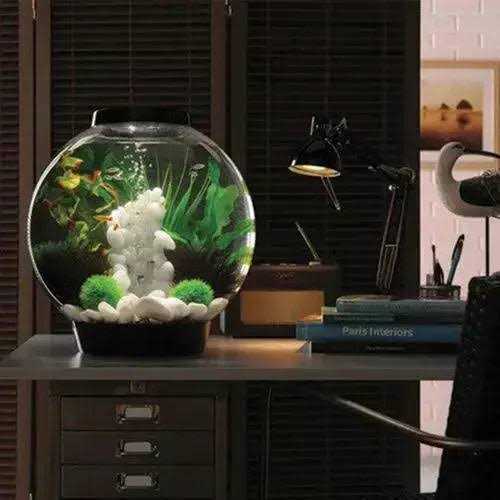 biOrb CLASSIC Collection D9700